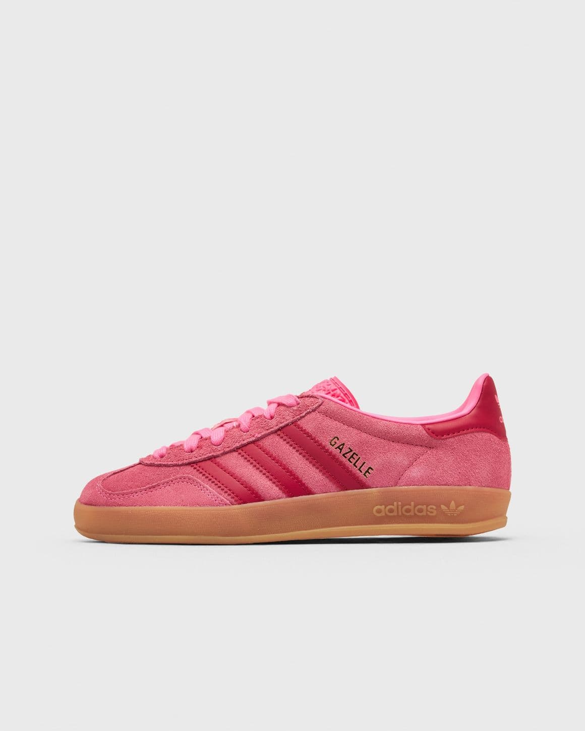 GAZELLE INDOOR