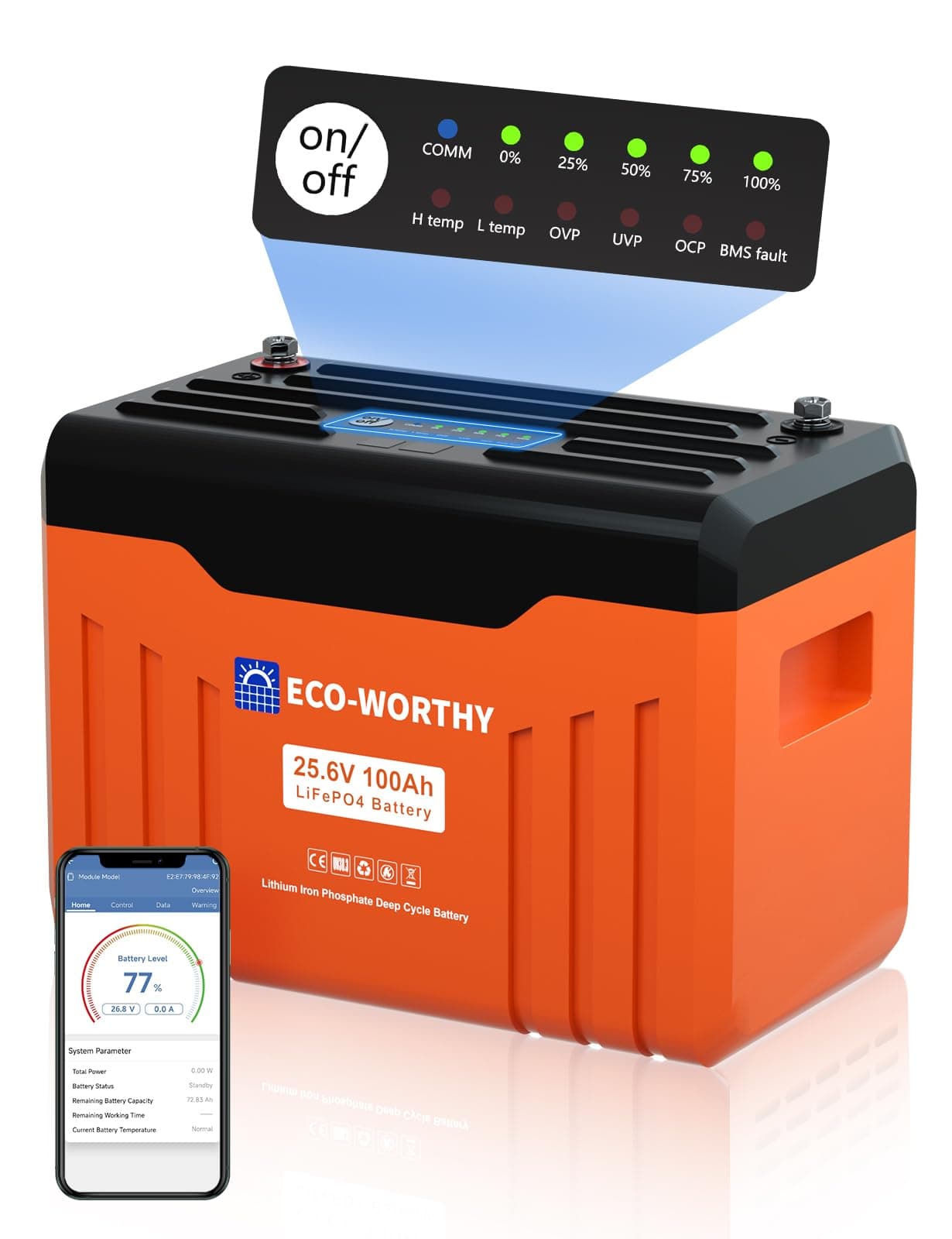 ECO-WORTHY Bateria Lifepo4 Bluetooth y WiFi (100 Ah, 24 V, con SOC y indicador de Estado, 100 A BMS con protección de Baja Temperatura, máx. 15000 ciclos, Ideal para Autocaravana, Panel Solar