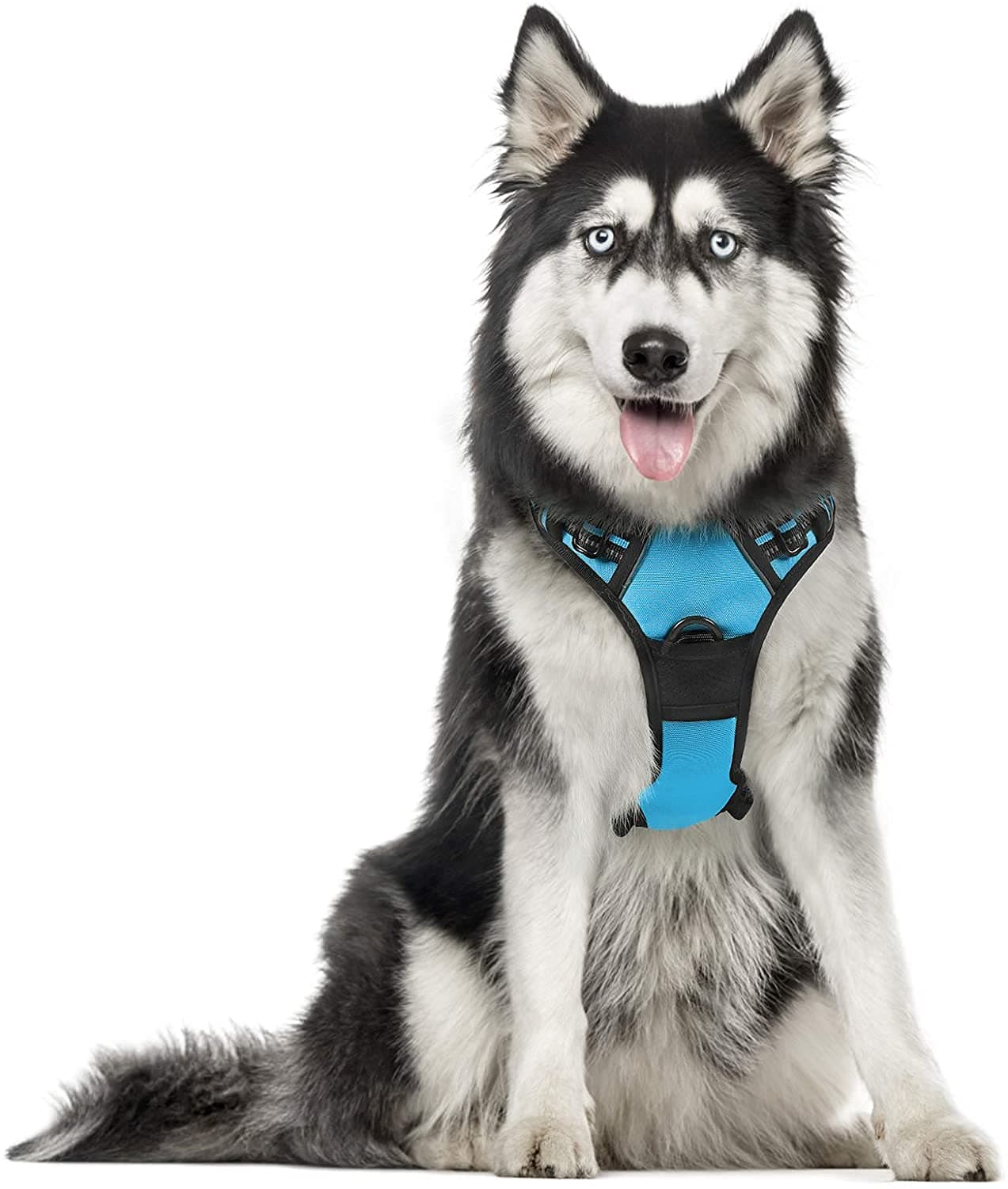 rabbitgoo Harnais Chien XL Arnais Bleu Clair Anti Traction Réfléchissant Gilet Réglable pour Chien Grand Taille, Attache Devant Crochet de Laisse pour Trajet Voiture, American Staff, Border Collier