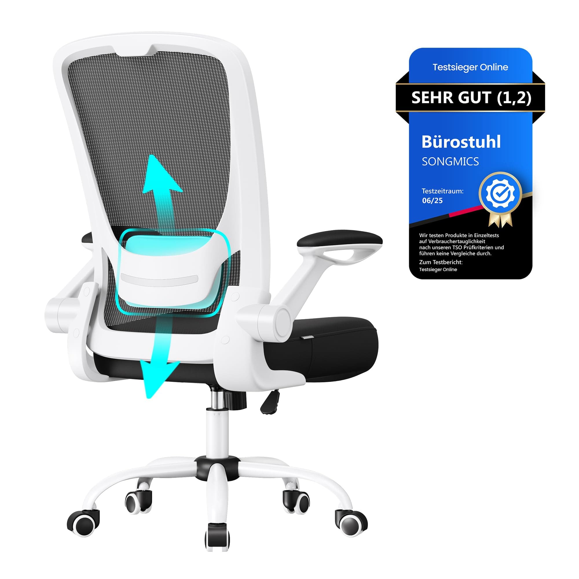 SONGMICS Bürostuhl ergonomisch, Drehstuhl mit Mesh, Lendenstütze, Wippfunktion, 53 cm große Sitzfläche, klappbare Armlehnen, Arbeits- und Schlafzimmer, Studenten, schwarz-weiß OBN37WT