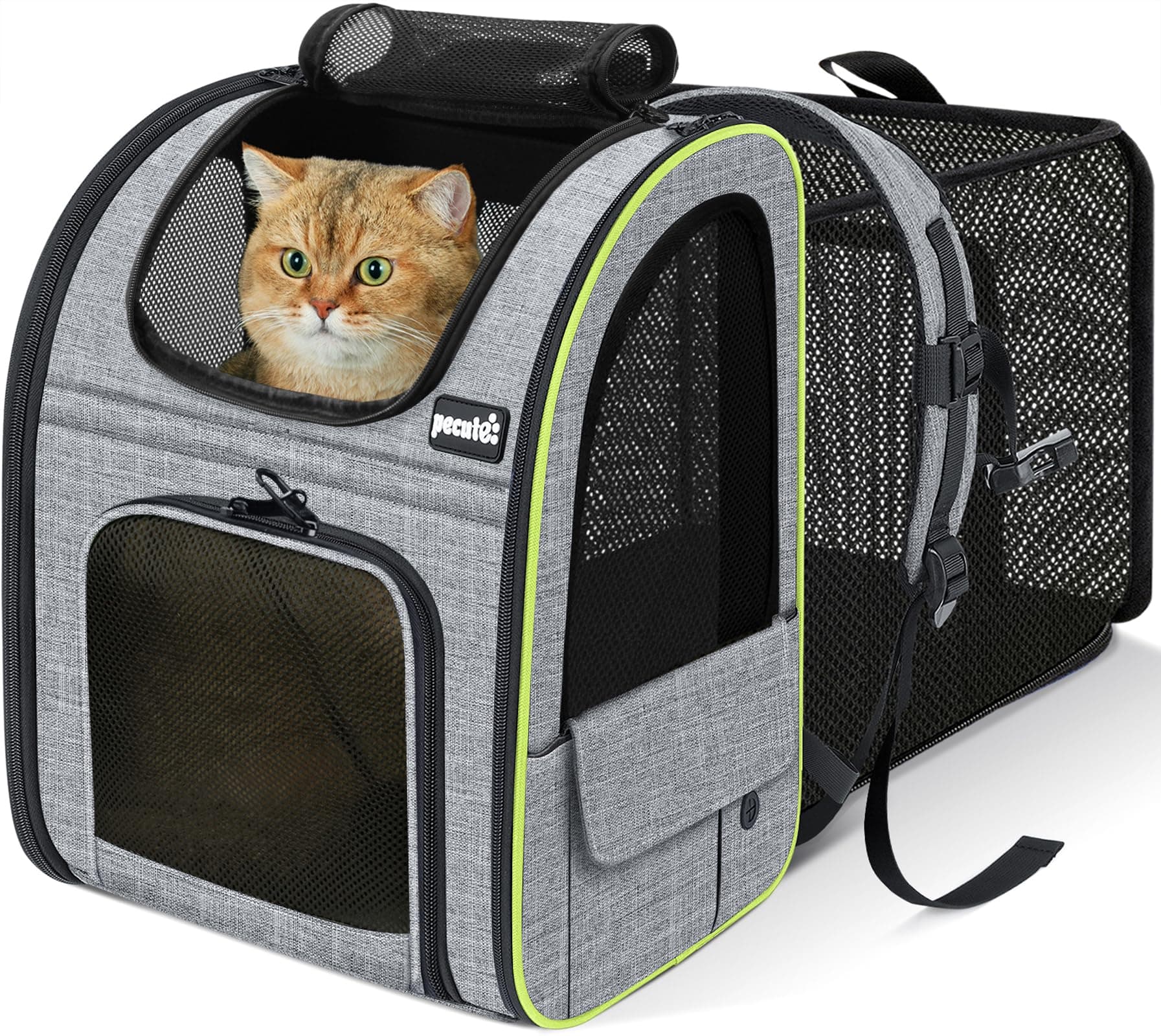 Pecute Mochila Gato＜6kg Mochilas para Gatos y Perro Transportin Gato Expandible y Plegable para Viajar en Tren/automóvil/Restaurante, Gris (Ventana de Malla)
