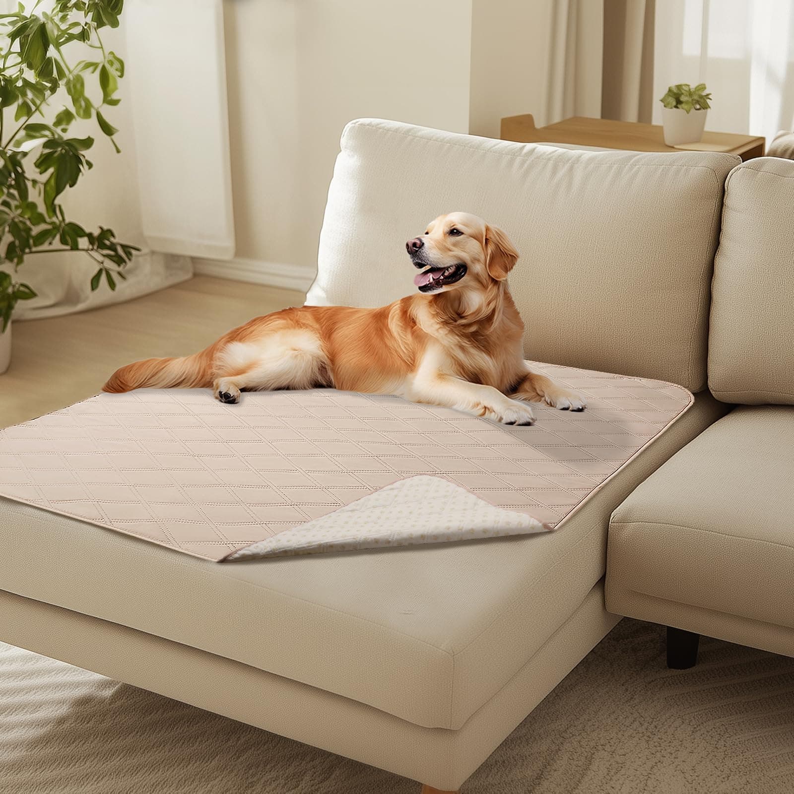 luciphia Copridivano per Cani Impermeabile, Coperta per Cani 100% Impermeabile con Punti Antiscivolo Tappetino Protezione per Mobili Bambini Cane Gatti Lavaggio in Lavatrice Beige kaki 101_x_127cm