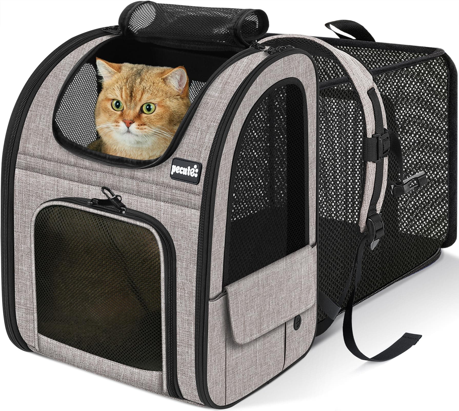 Pecute Mochila Gato＜6kg Mochilas para Gatos y Perro Transportin Gato Expandible y Plegable para Viajar en Tren/automóvil/Restaurante, Azul (Ventana de Malla)