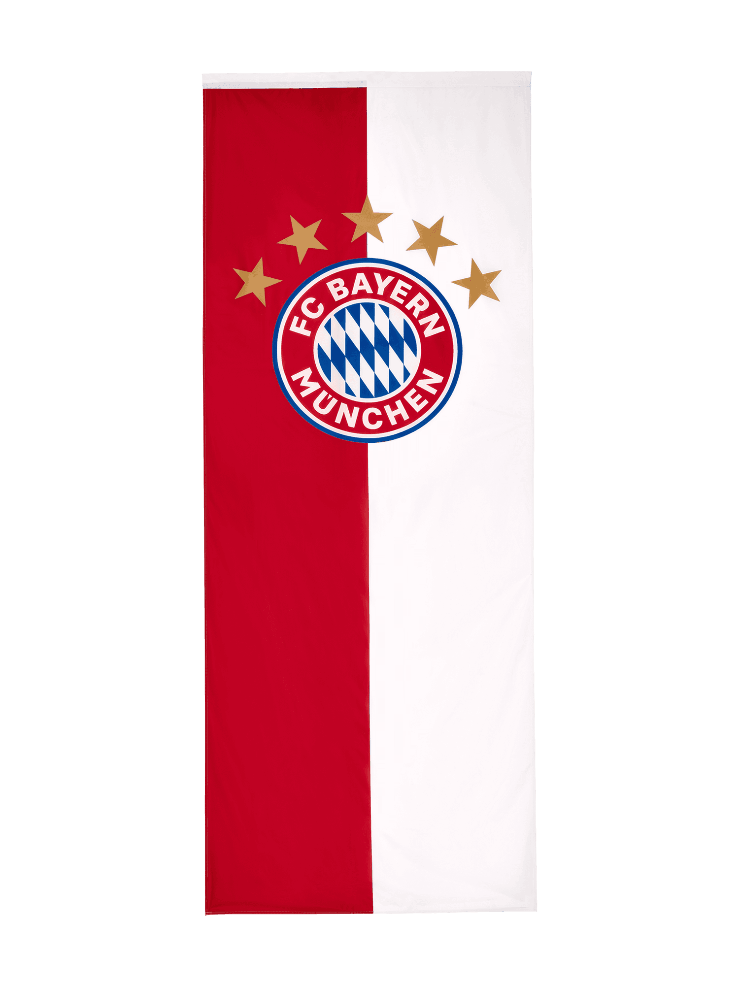 Bannerfahne Logo 300x120 cm