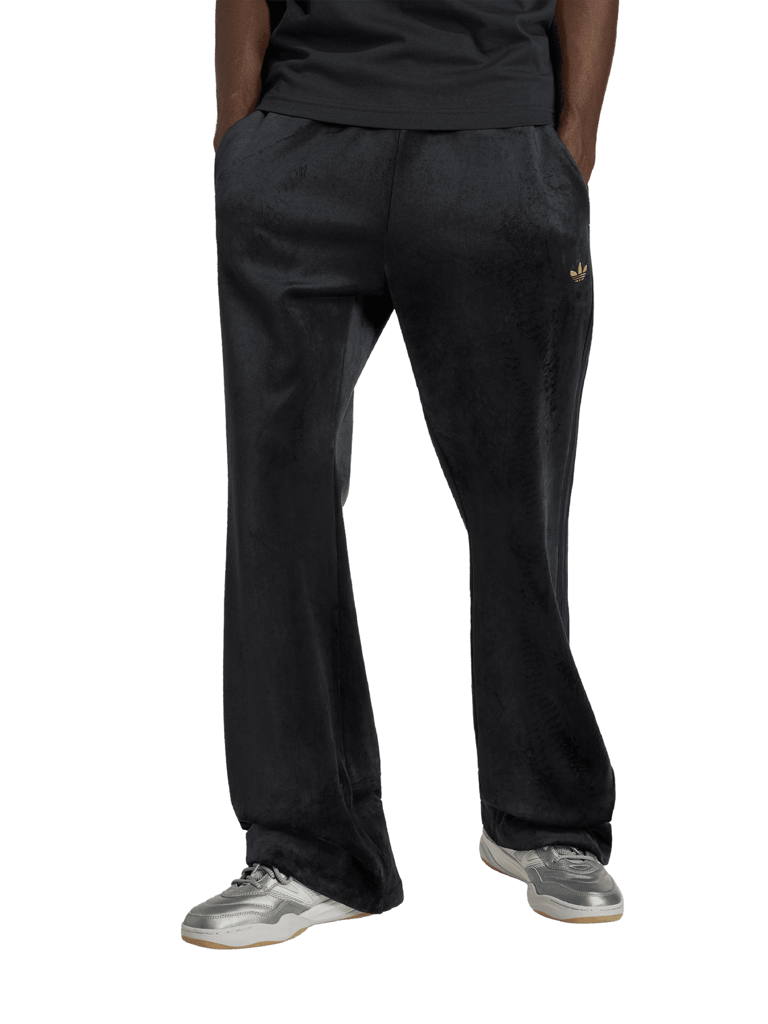 Pant Premium