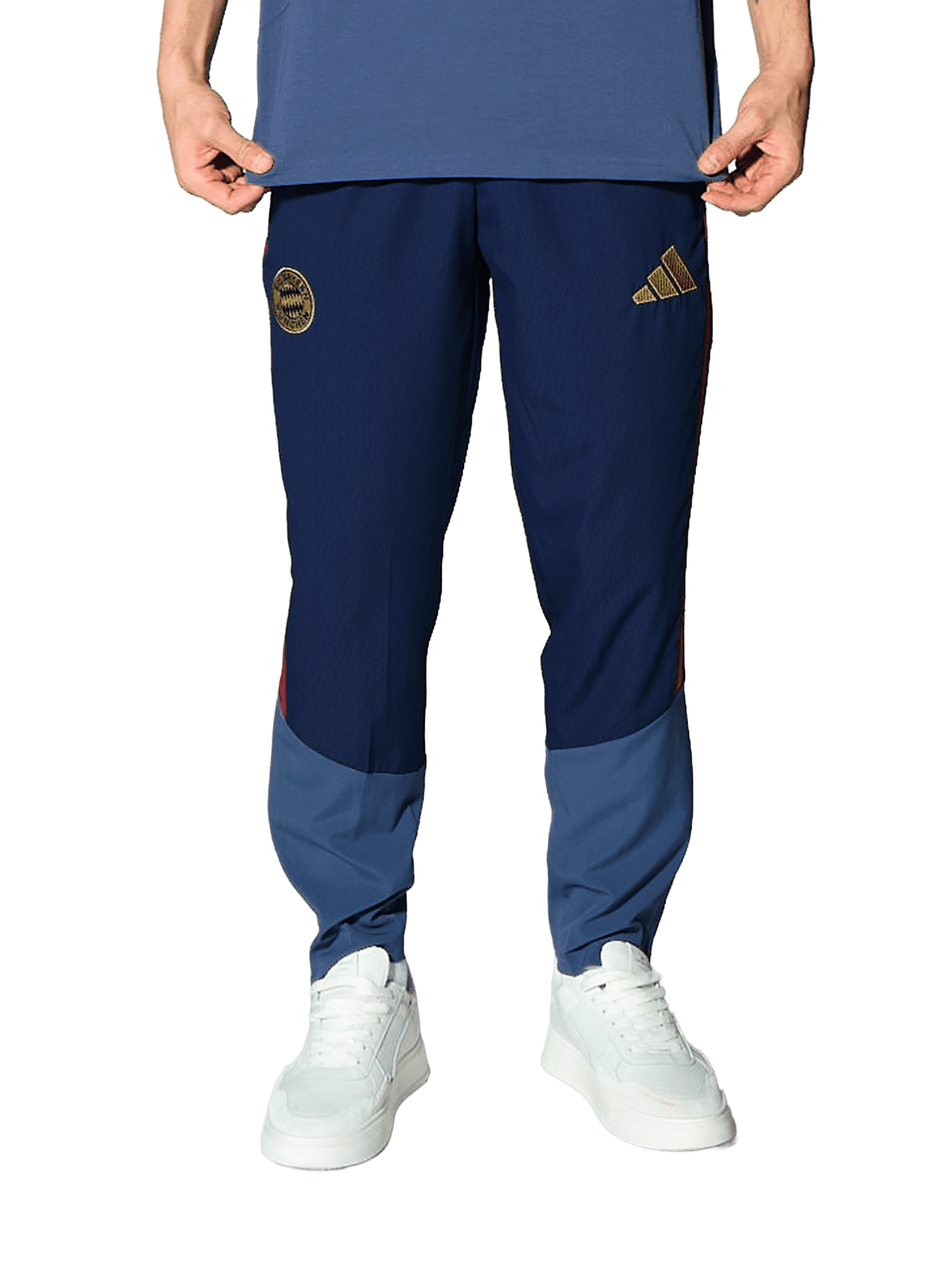 Präsentationspant Teamline
