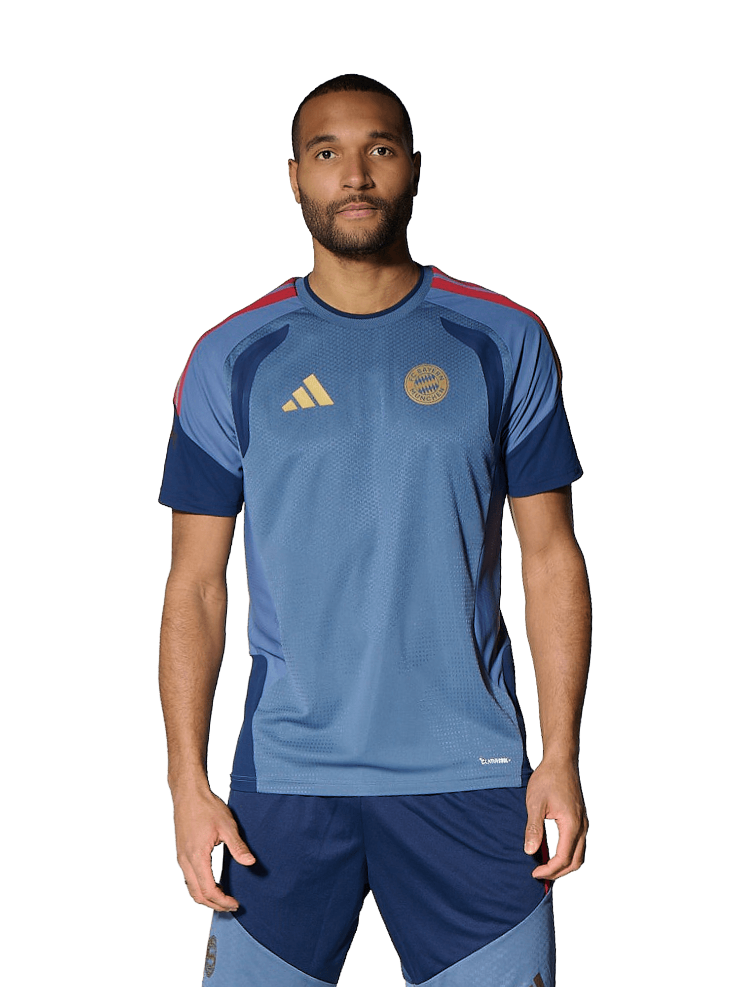 Authentic Trainingsshirt Teamline