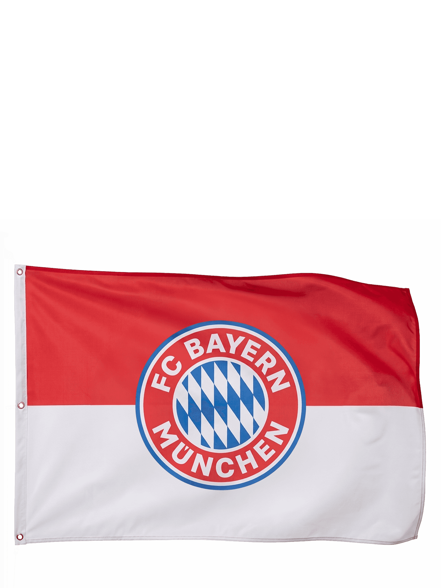 Hissfahne Logo 180x120 cm