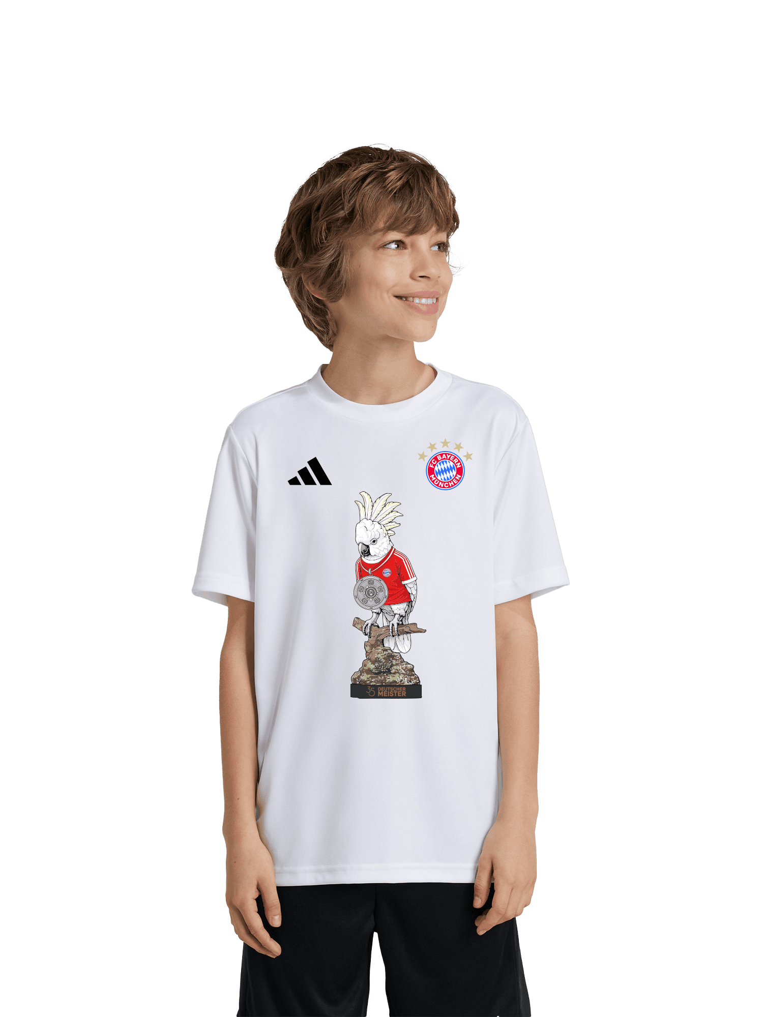 T-Shirt Meister 2026