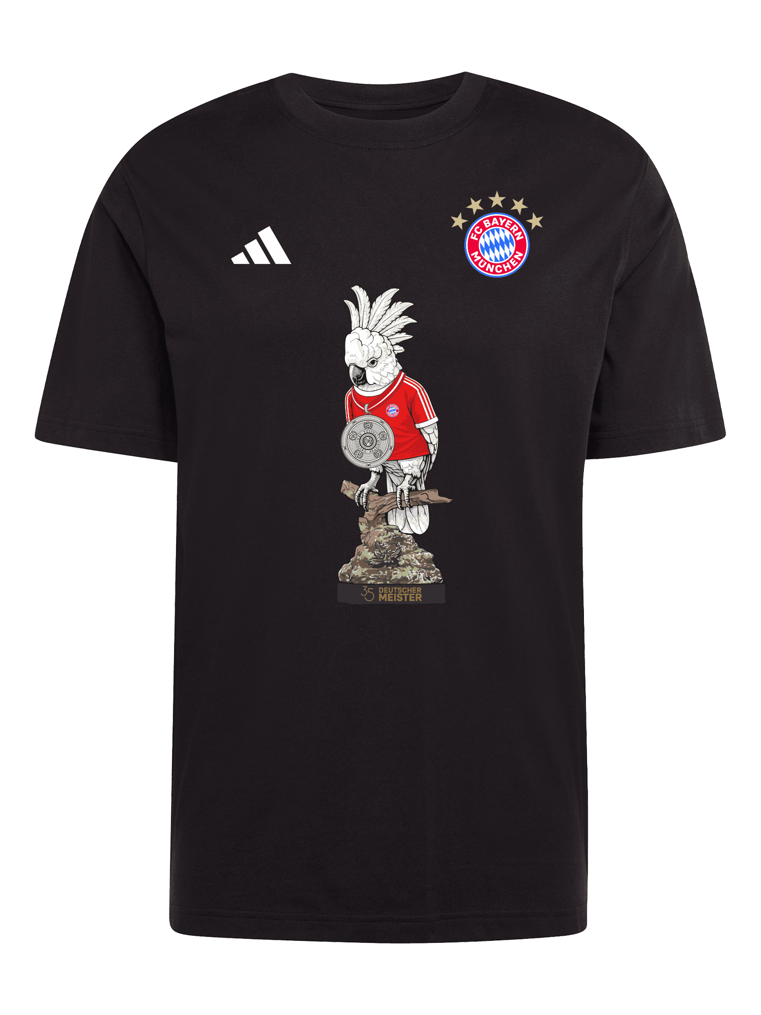 T-Shirt Meister 2026