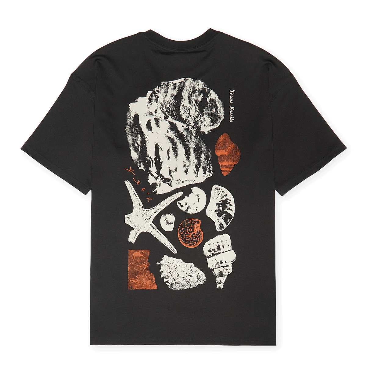 Acg Tee Oc Fossils 