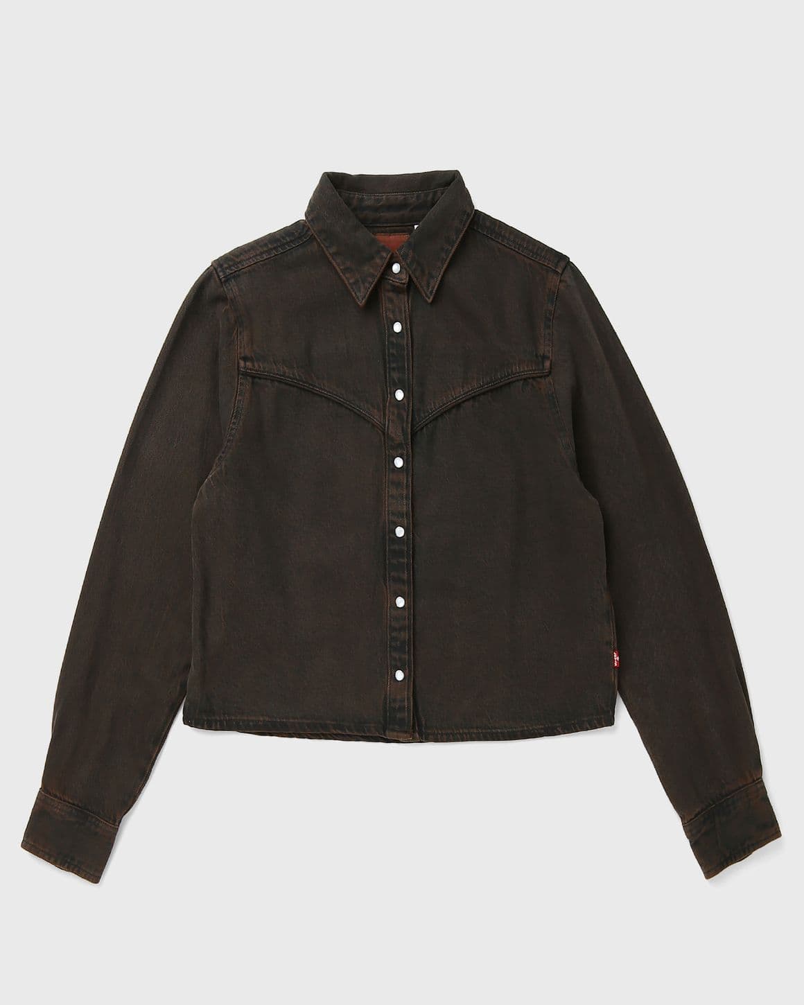 LOGAN TENCEL SHACKET